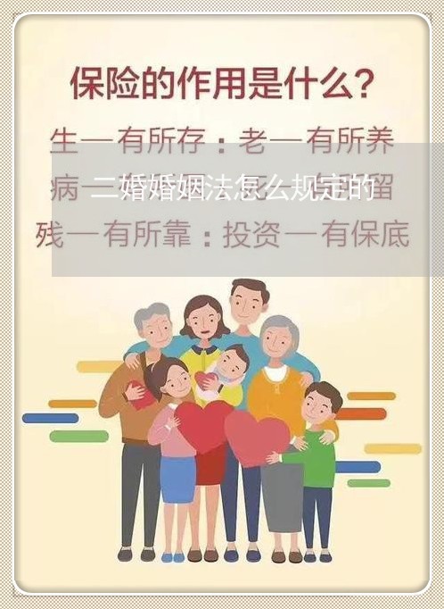 二婚婚姻法怎么规定的/2023112449692