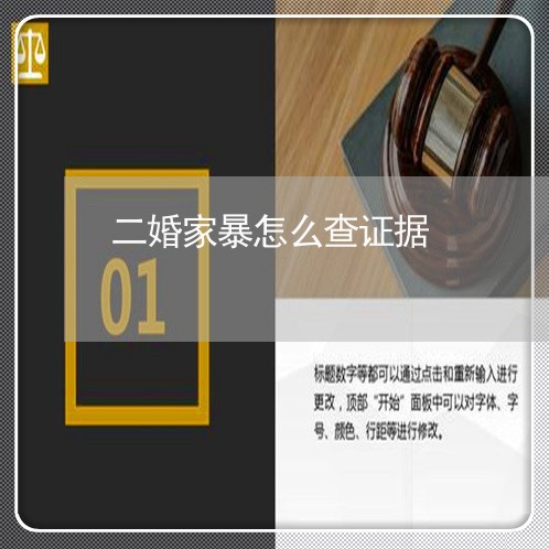 二婚家暴怎么查证据/2023110695625