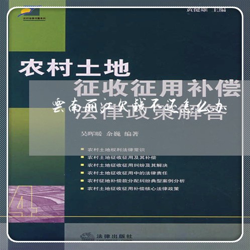 云南丽江欠钱不还怎么办/2023092081725