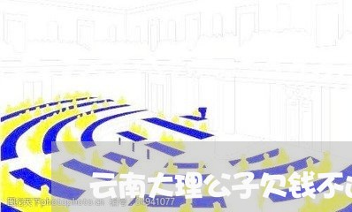 云南大理公子欠钱不还/2023111605151