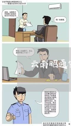 云南昭通家暴男孩/2023101318038