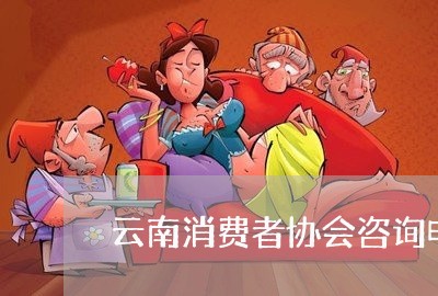 云南消费者协会咨询电话/2023062640704