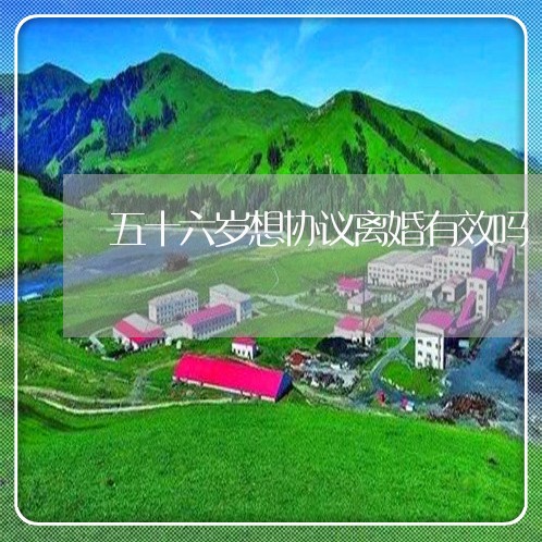 五十六岁想协议离婚有效吗/2023111416058