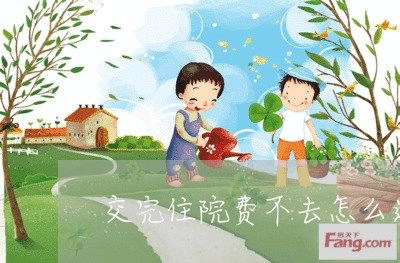 交完住院费不去怎么退费/2023062371716