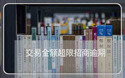 交易金额超限招商逾期/2023052843625