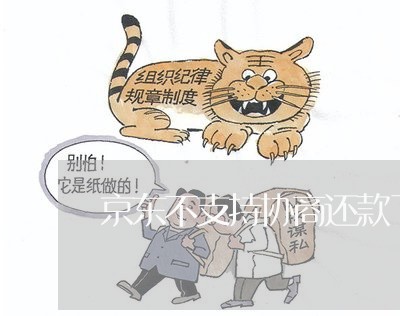 京东不支持协商还款了咋办/2023092527159