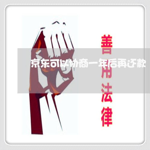 京东可以协商一年后再还款/2023100852683