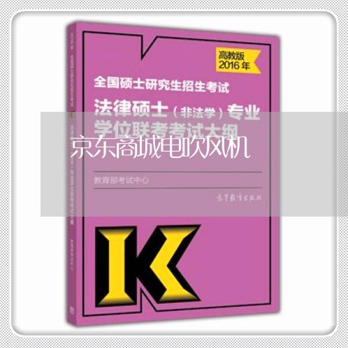 京东商城电吹风机/2023040195826