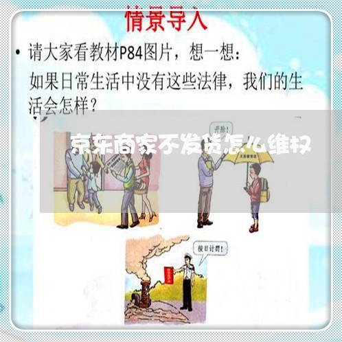 京东商家不发货怎么维权/2023062349616