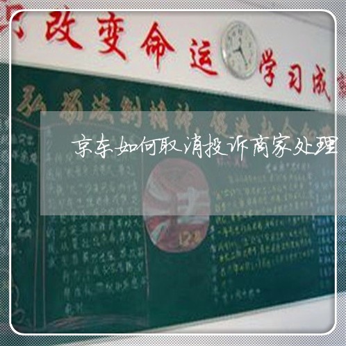 京东如何取消投诉商家处理/2023030241936