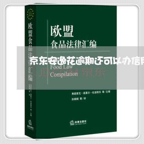 京东安逸花逾期还可以办信用卡吗/2023081247171