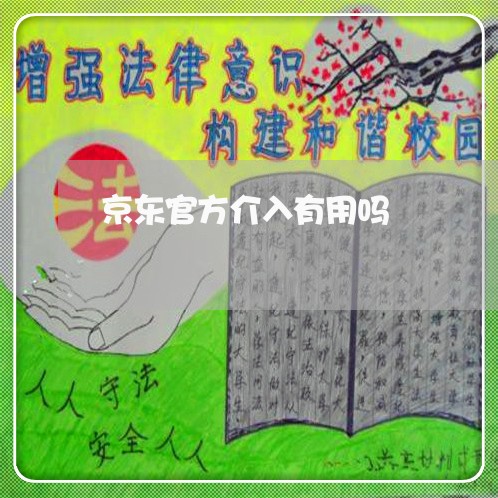 京东官方介入有用吗/2023032698061