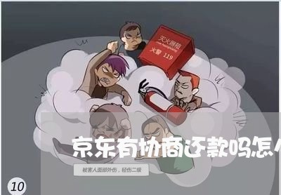 京东有协商还款吗怎么还/2023073162483