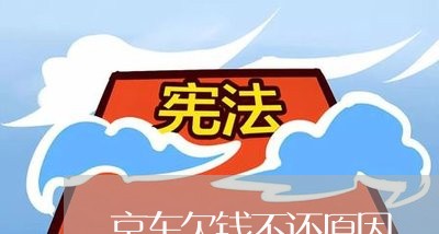 京东欠钱不还原因/2023111649161