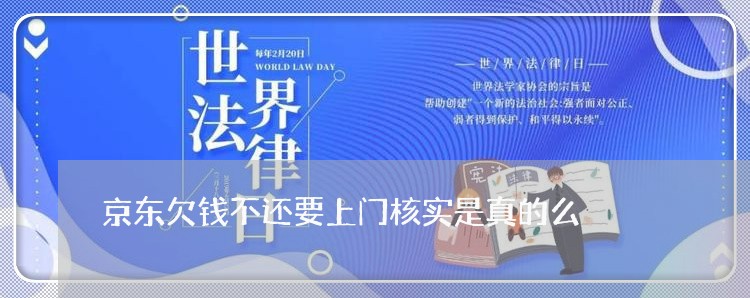 京东欠钱不还要上门核实是真的么/2023120934946