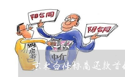 京东白条协商还款首付款/2023092383815