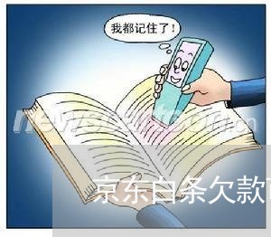 京东白条欠款可以协商不还款吗/2023100789402