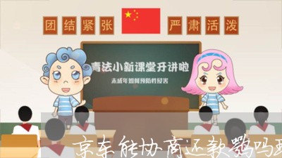 京东能协商还款嘛吗现在/2023100560482