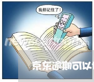 京东逾期可以协商延期还款吗/2023100618149