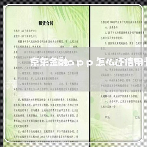 京东金融app怎么还信用卡吗/2023102626157