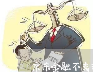 京东金融不支持协商还款吗/2023100772716