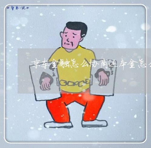 京东金融怎么协商还本金怎么还款/2023100762594