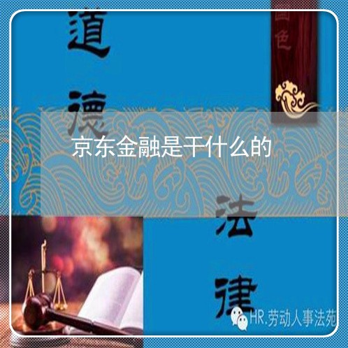 京东金融是干什么的/2023032427260