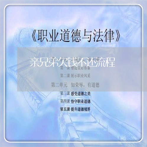 亲兄弟欠钱不还流程/2023111552706