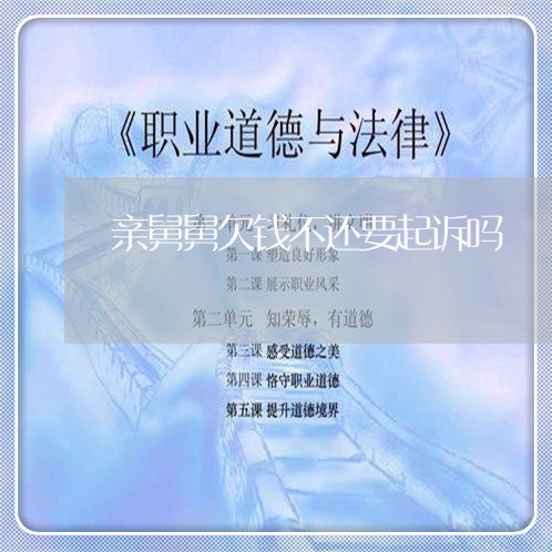 亲舅舅欠钱不还要起诉吗/2023112351514