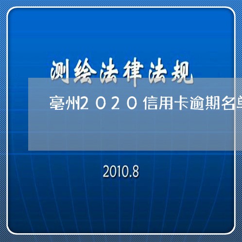 亳州2020信用卡逾期名单/2023091350403