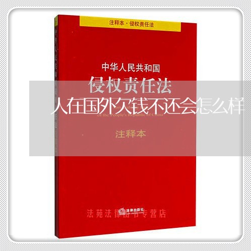 人在国外欠钱不还会怎么样/2023120537938