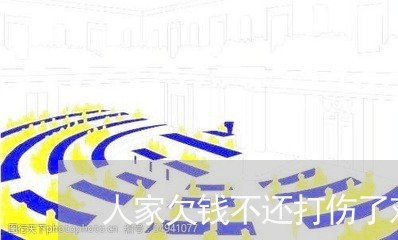 人家欠钱不还打伤了对方怎么办/2023120404940