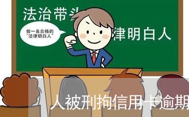 人被刑拘信用卡逾期/2023072293947