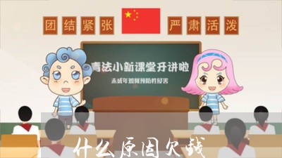 什么原因欠钱/2023100895039