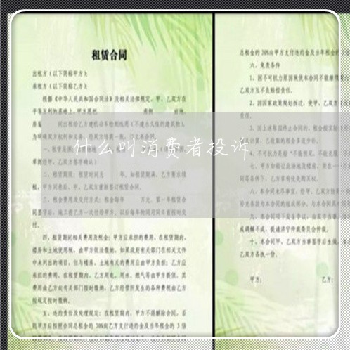 什么叫消费者投诉/2023031990582