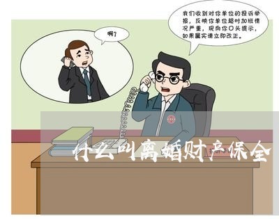 什么叫离婚财产保全/2023110443916