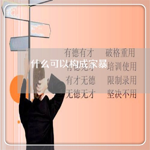 什么可以构成家暴/2023101375848