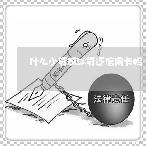 什么小贷可以贷还信用卡吗/2023071623817