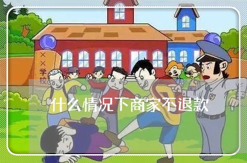 什么情况下商家不退款/2023033146159