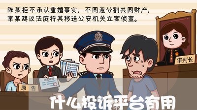 什么投诉平台有用/2023032584046