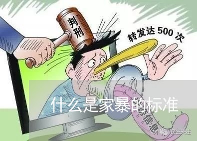 什么是家暴的标准/2023100850715