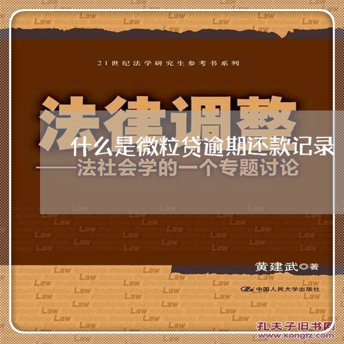 什么是微粒贷逾期还款记录/2023072431514