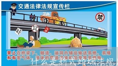 什么是新式婚姻法规定的/2023081307037