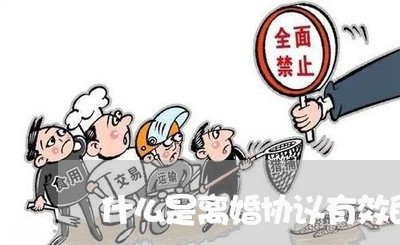 什么是离婚协议有效的条件/2023111428271