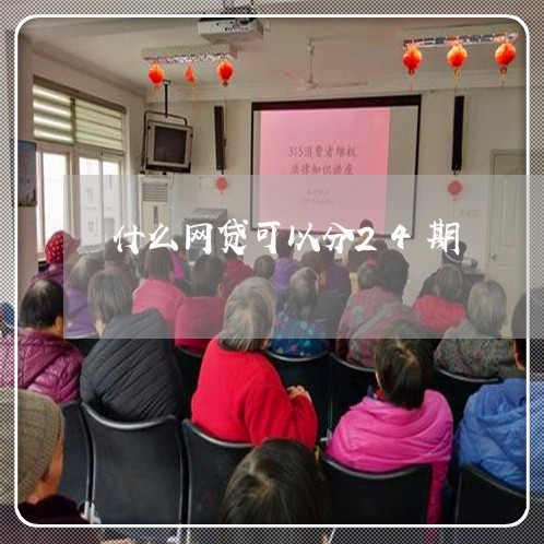 什么网贷可以分24期/2023032405945