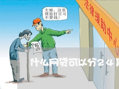 什么网贷可以分24期/2023040323937