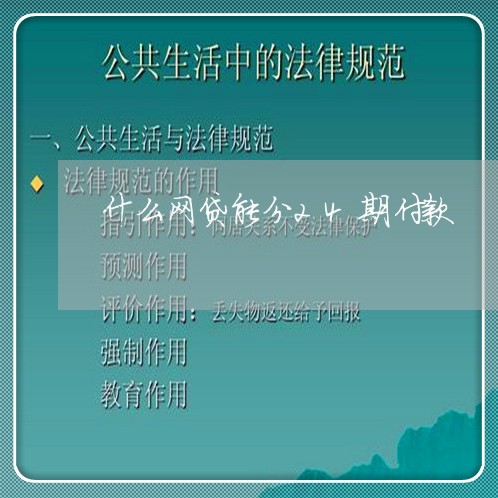 什么网贷能分24期付款/2023032458172