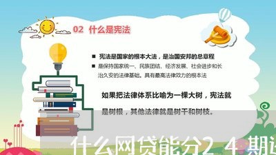 什么网贷能分24期还款/2023032440370