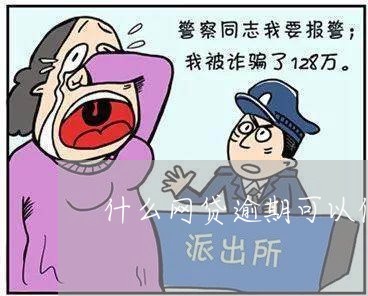 什么网贷逾期可以借的到/2023110766169