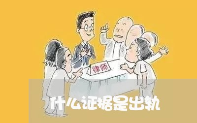 什么证据是出轨/2023121628261